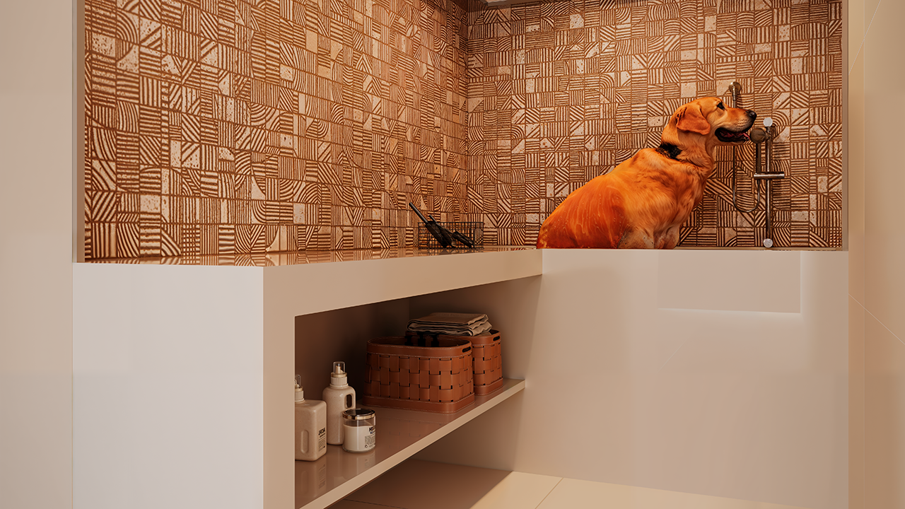 03. LAZER I PET WASH_FINAL.png